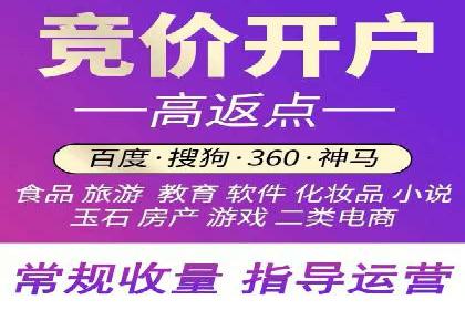 某电商企业SEM竞价代运营全记录：销量翻倍的奥秘