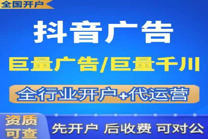百度竞价与搜索引擎优化（SEO）的协同效应案例